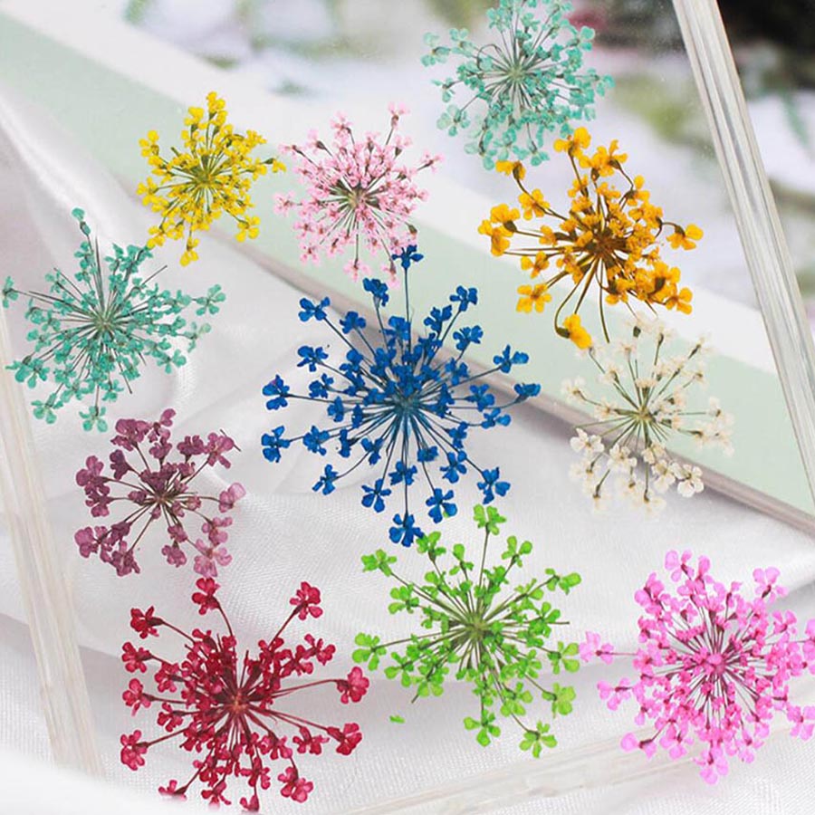 60 pz pressato essiccato 15-20 - Dried Flower Bookmark recensione e prezzo